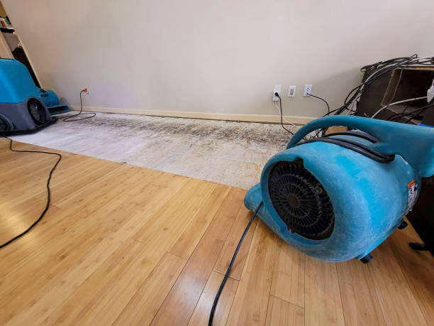 Professional Burst Pipe Water Damage technician working in Berger, MO